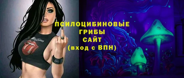 твердый Богородск