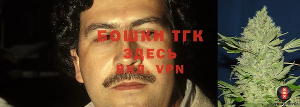 твердый Богородск